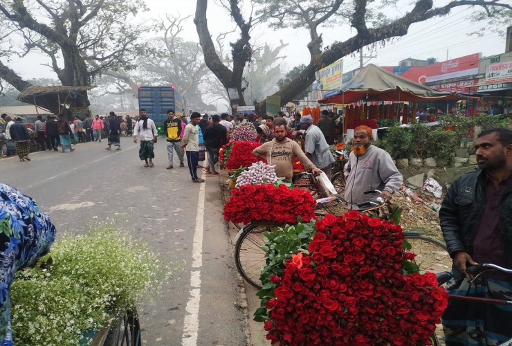 যশোরে গদখালির ফুলচাষিদের  ১০০ কোটি টাকার বাণিজ্যের আশা
